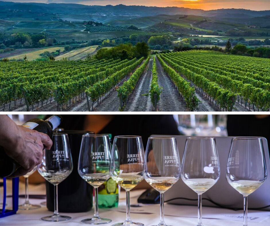 Food & Wine Festival October 18-20, 2024 3 Food & Wine Festival October 18-20, 2024 3