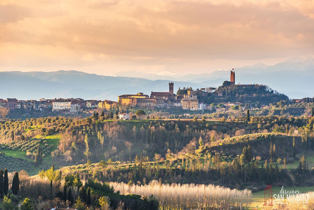 San Miniato White Truffle Exhibition November 2024 4 San Miniato White Truffle Exhibition November 2024 4