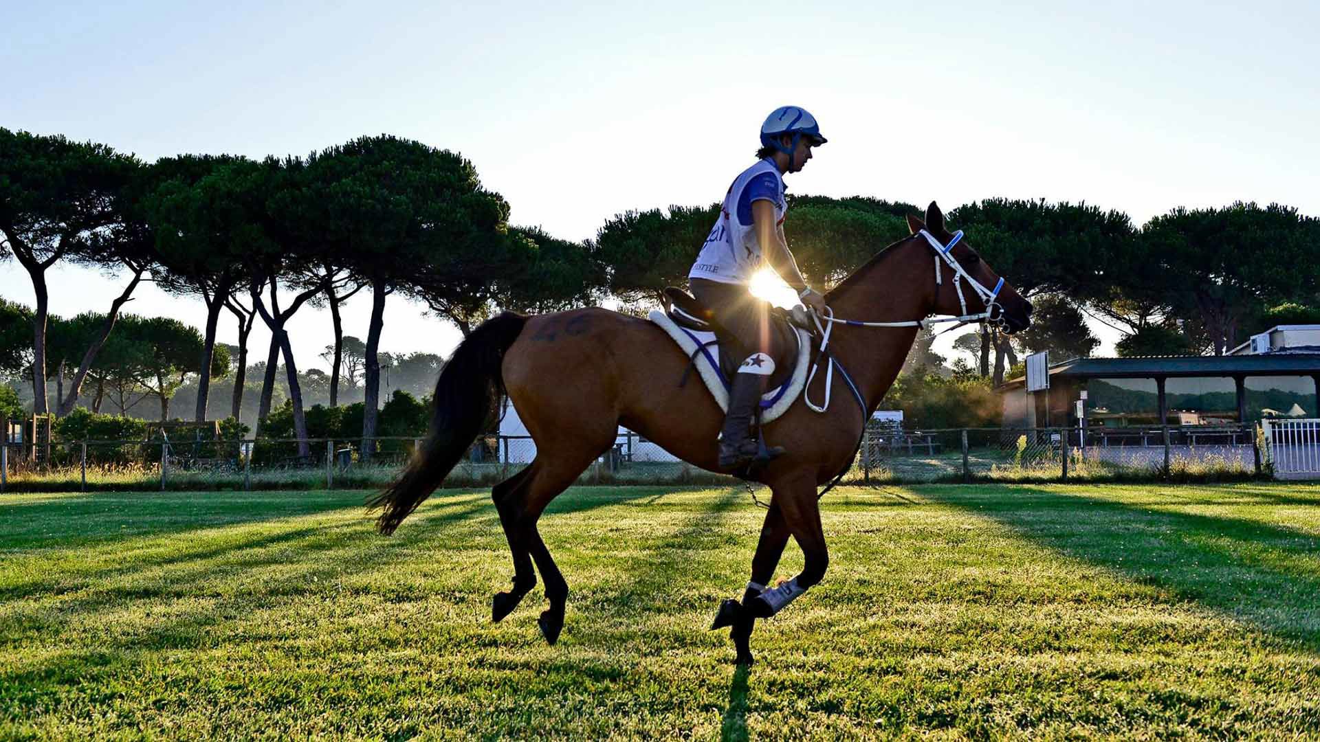 The Territory 18 The Territory 18