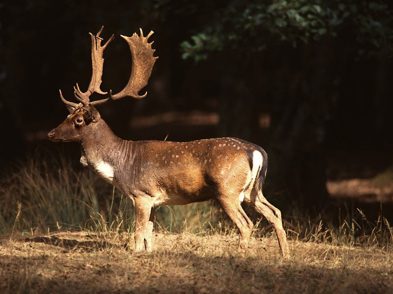 The Territory 20 The Territory 20