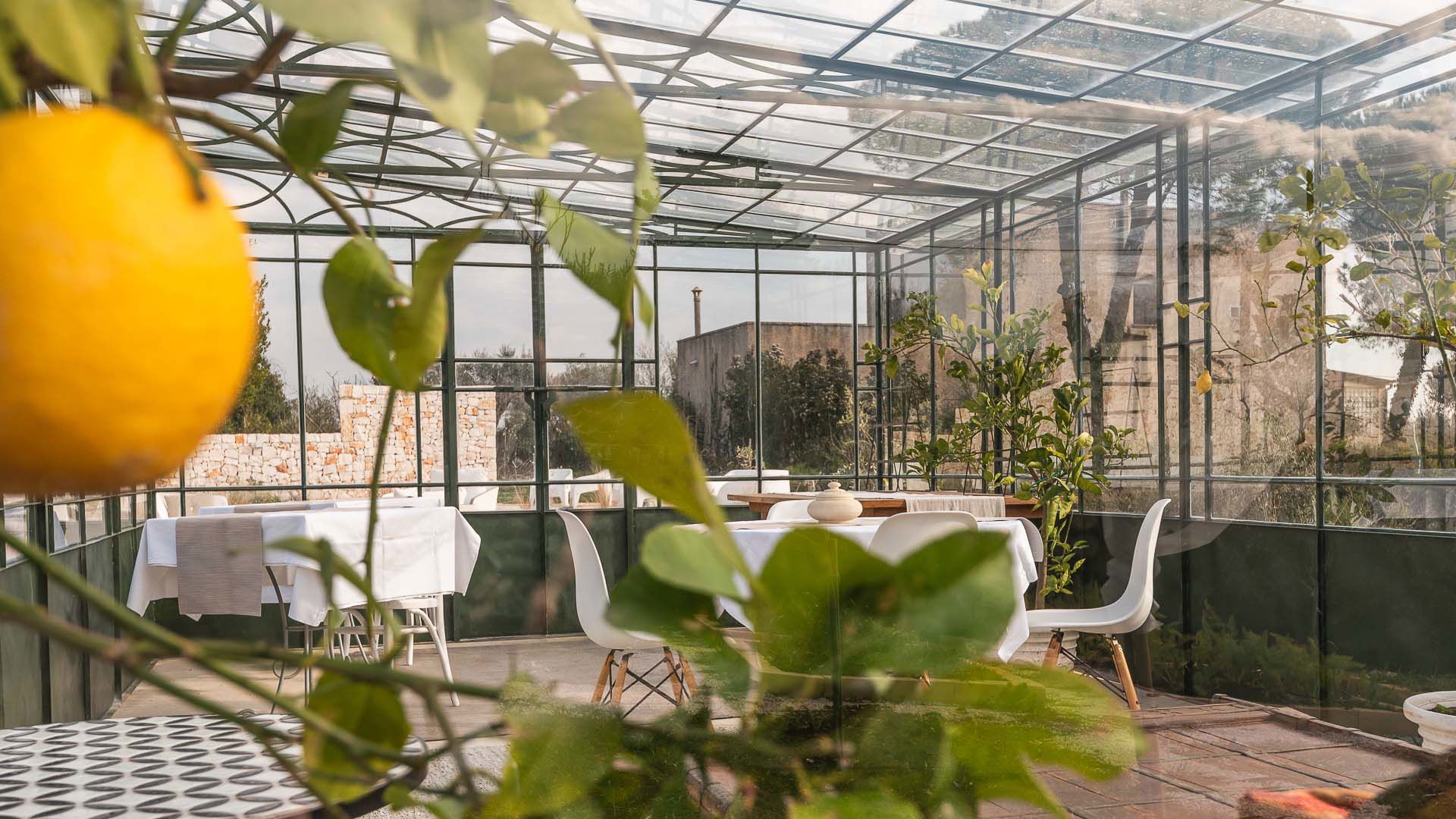 Villa Ada: un'oasi di pace tra i trulli in Puglia 3