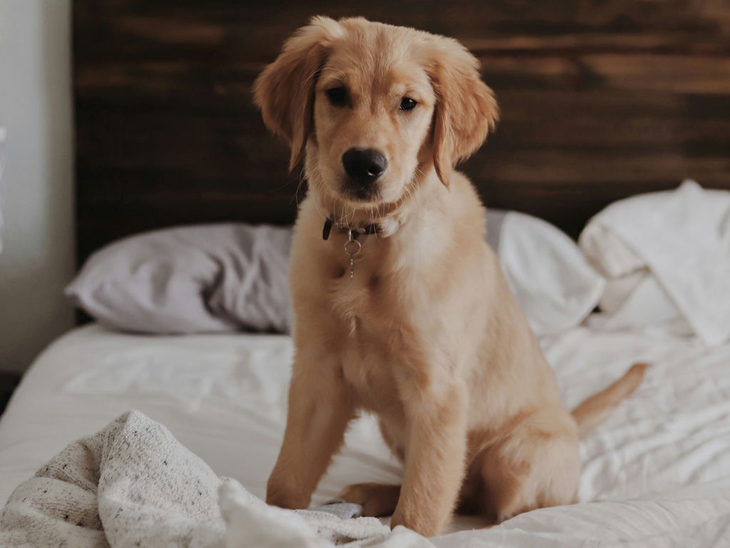 The Corner Duomo - Home Page 4 The Corner Duomo - Home Page 4