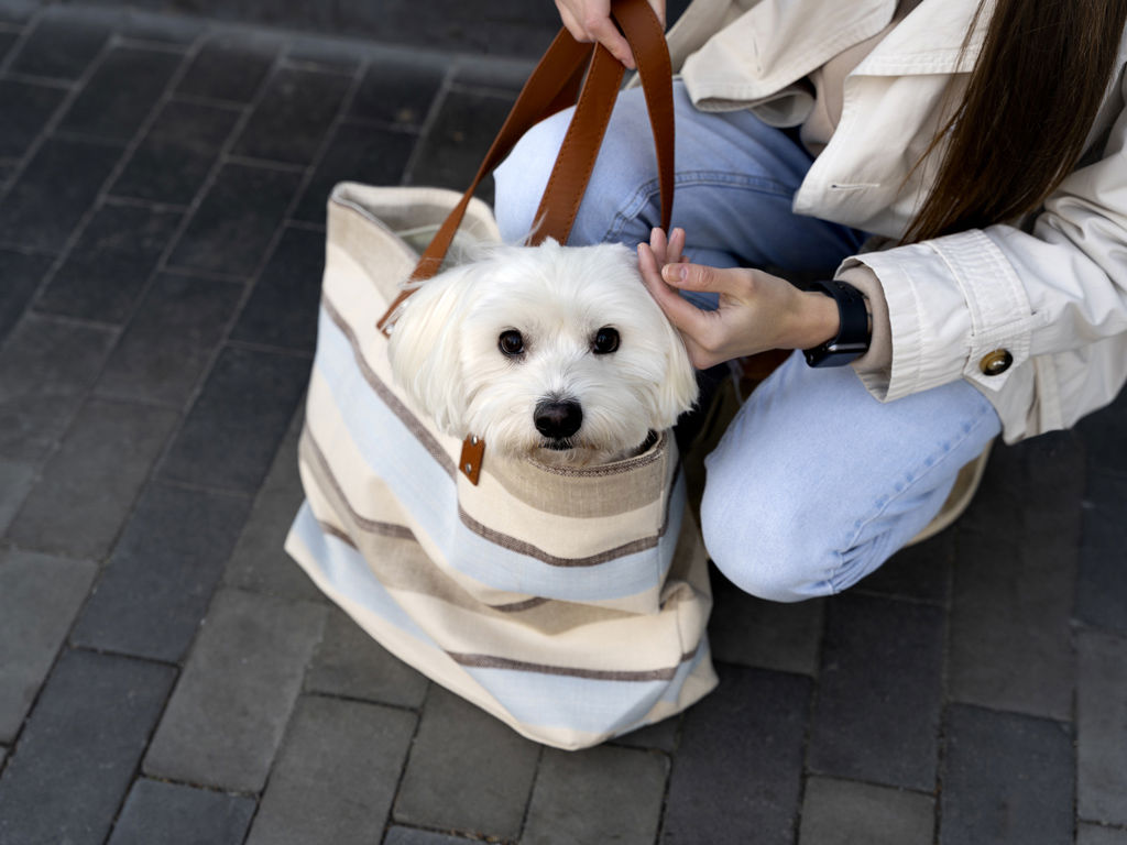 The Corner Duomo - Hotel pet friendly 5