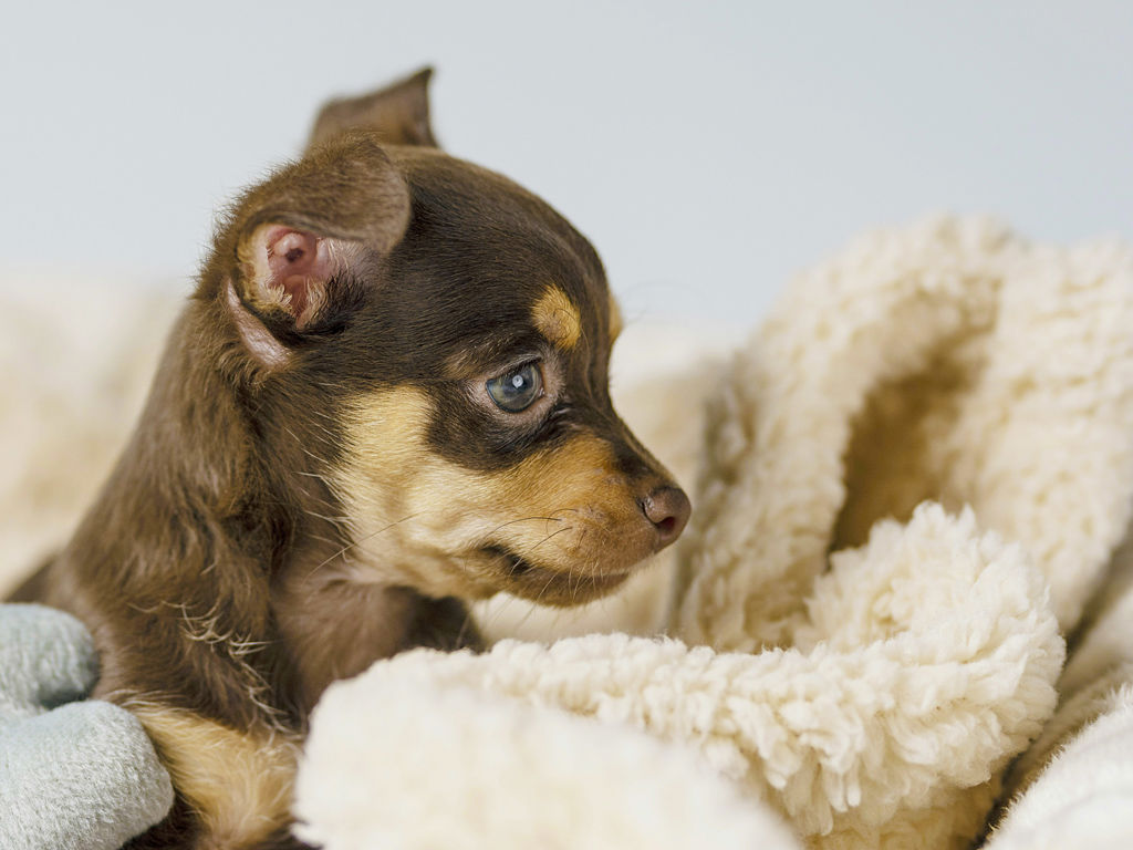 The Corner Duomo - Hotel pet friendly 5