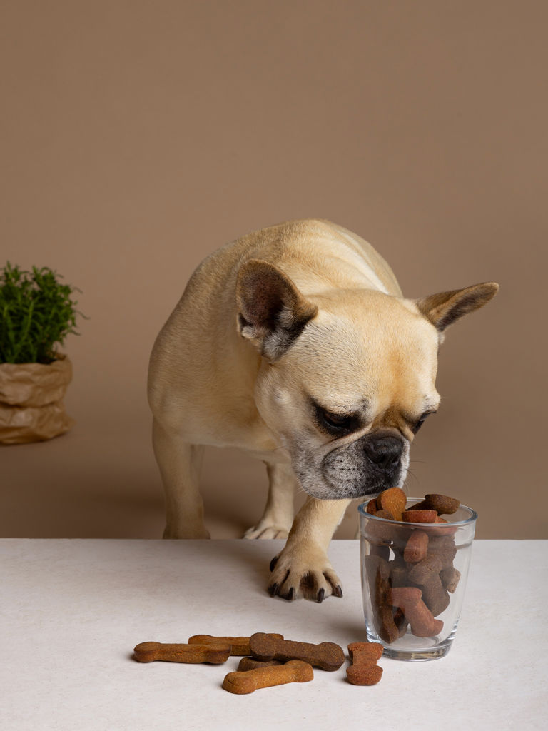 The Corner Duomo - Hotel pet friendly 5