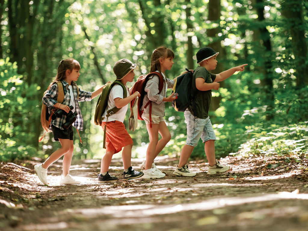 Casa Bianconi 1850 6