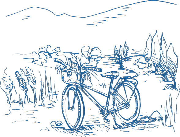 Sport, activities and experiences 37 Sport, activities and experiences 37