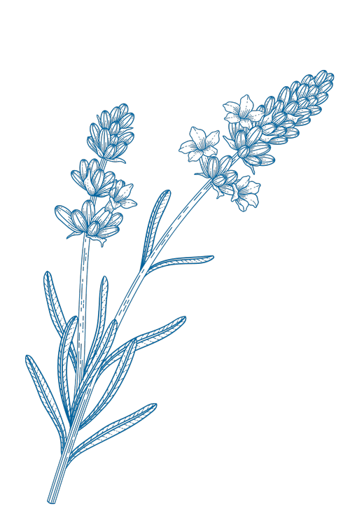 SPA 26 SPA 26
