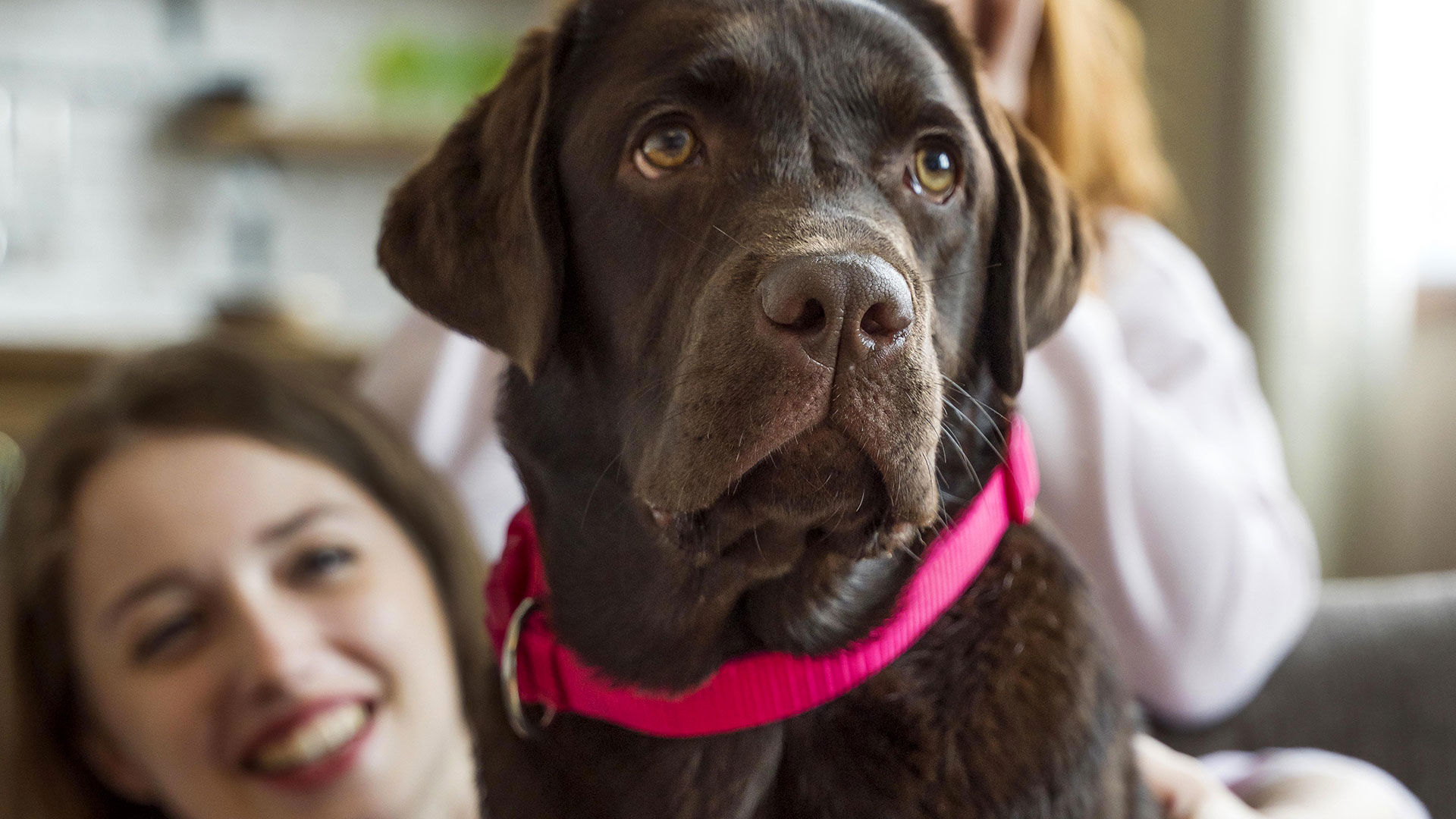 Services 27 Services 27