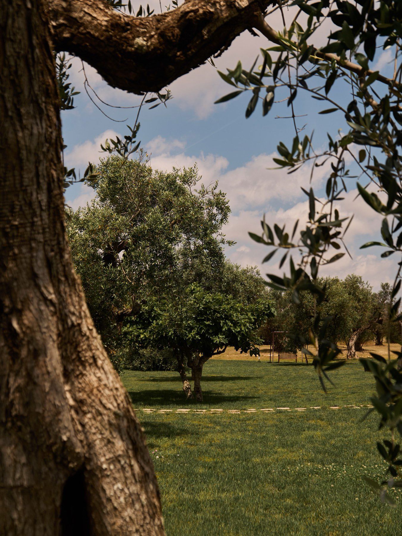 Secolario - Yoga Retreat in Puglia 19-22/10/2026 2