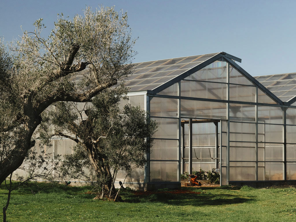 Secolario - Volìvo Restaurant 1 Secolario - Volìvo Restaurant 1