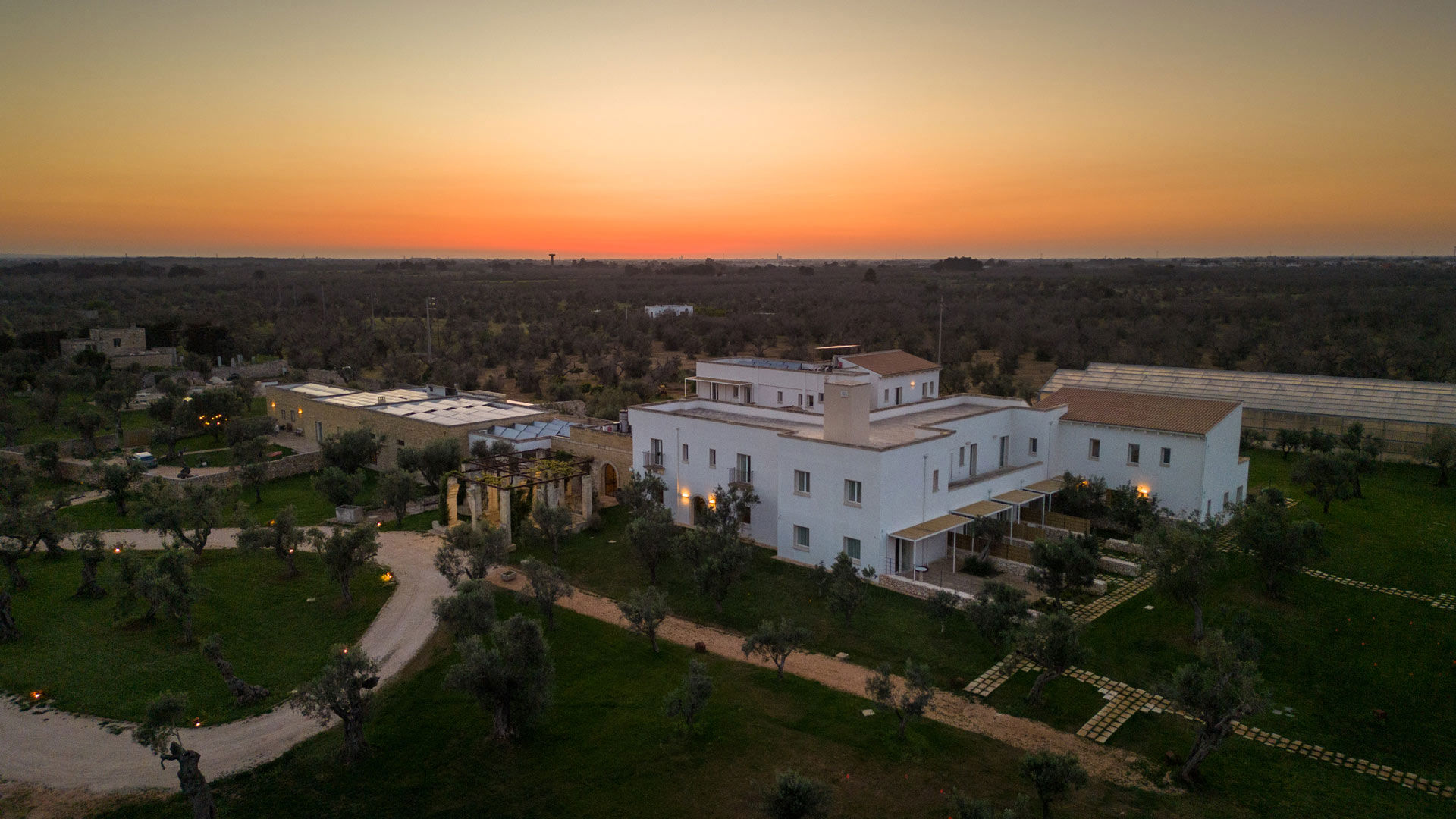 Secolario - MASSERIA del viverbene 3