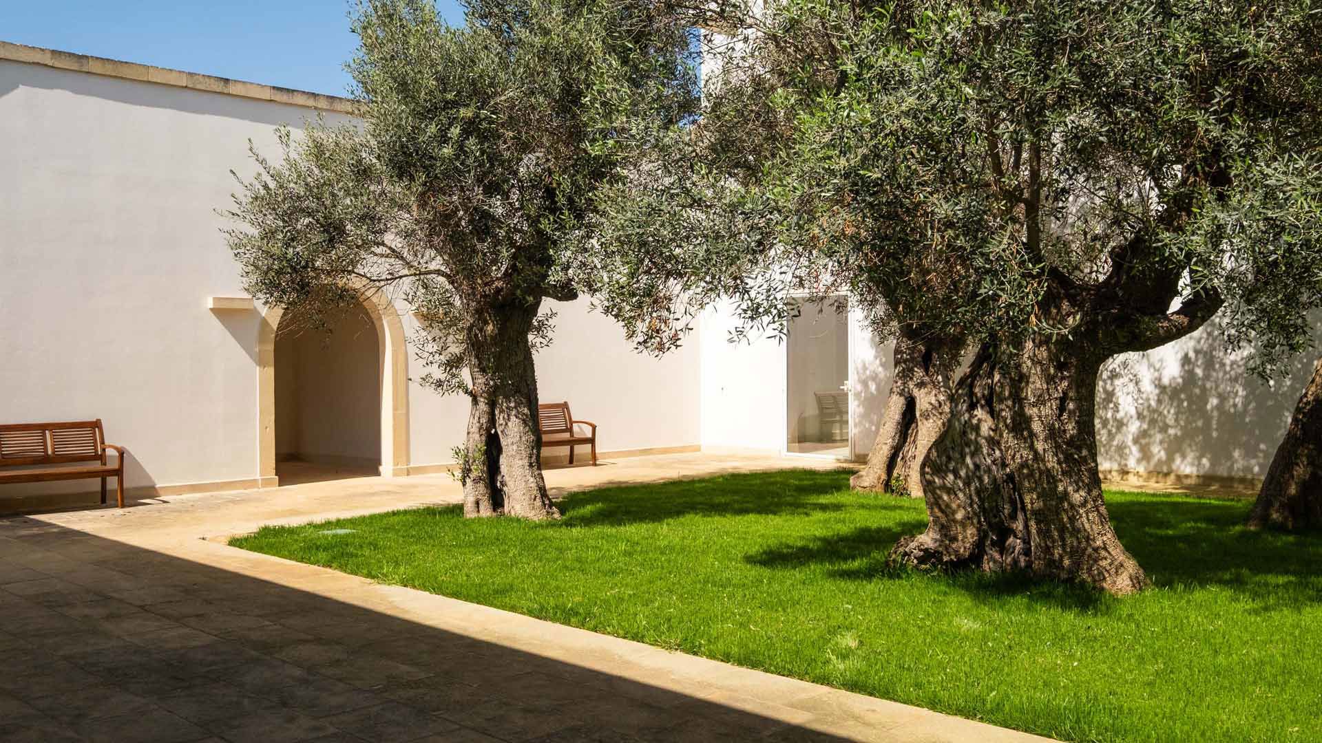 Secolario - The Roots 2