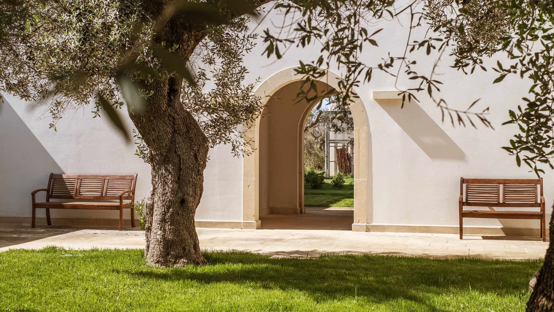 Secolario - The Roots 3