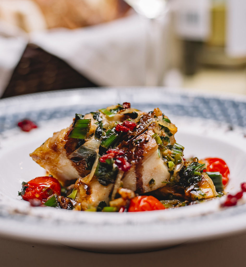 Secolario - Home Page 5