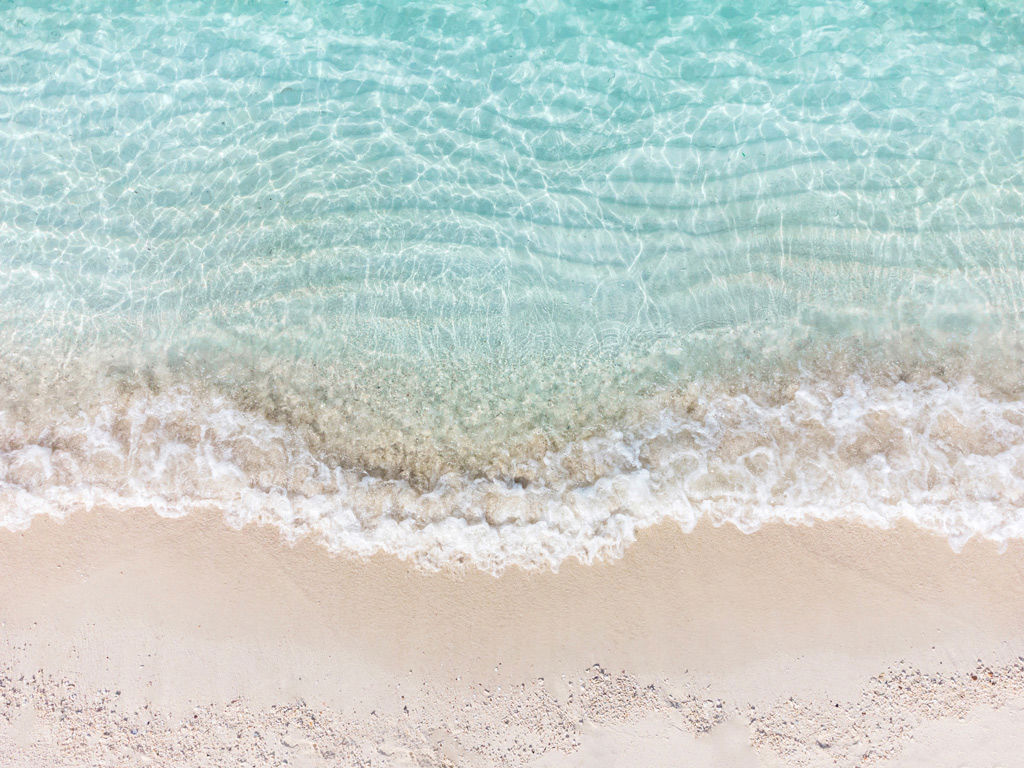 Secolario - Services 1