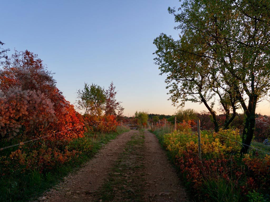 L'estate tra le Dolomiti ☀ 9