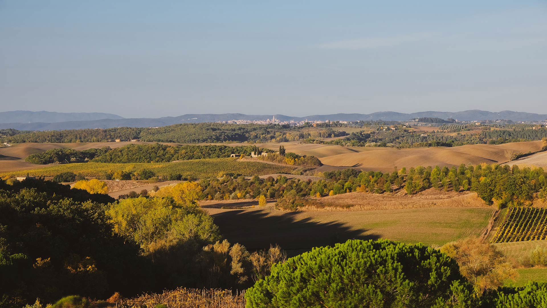 Surroundings 1