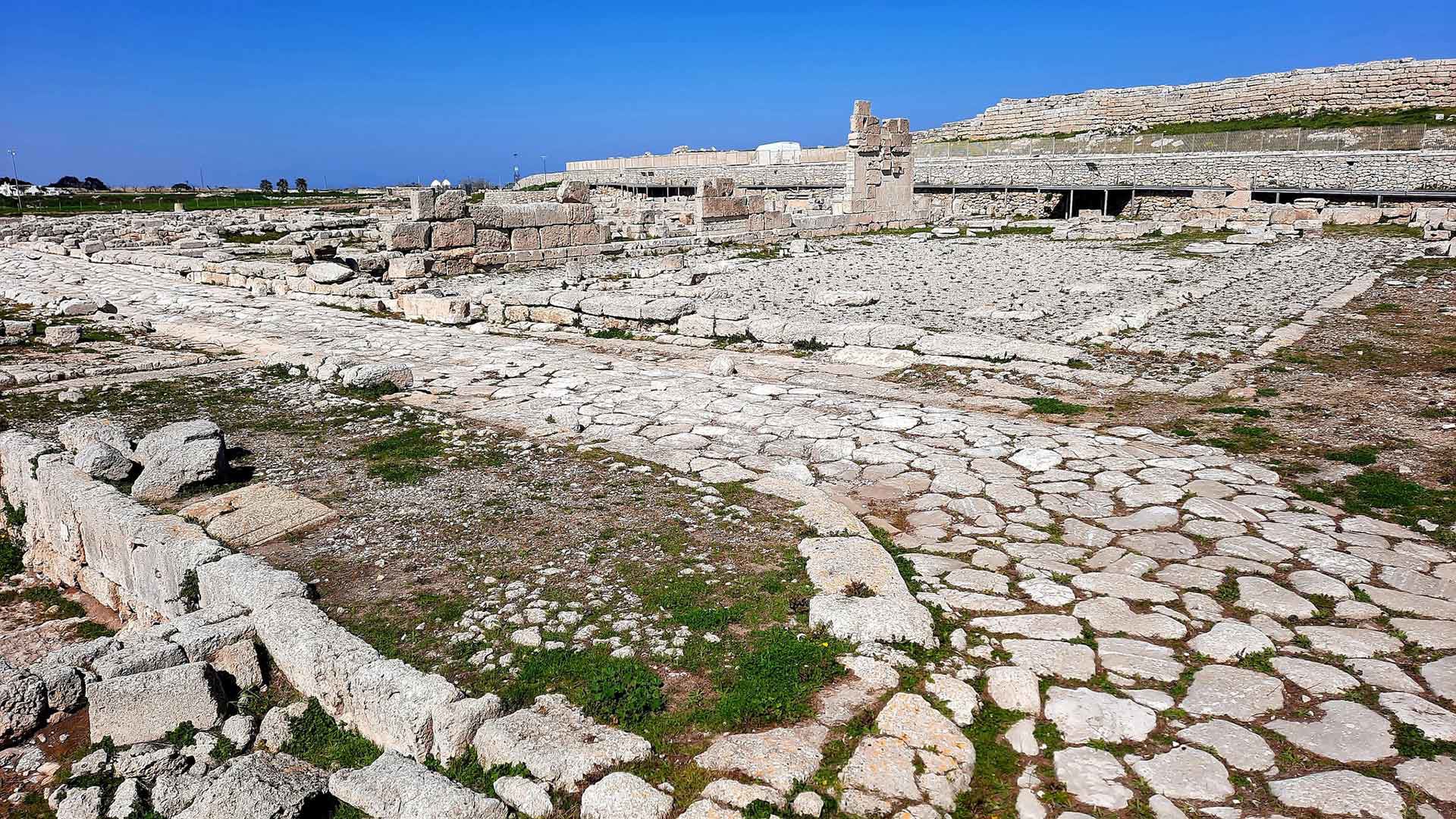 Le Terre di Fasano 6