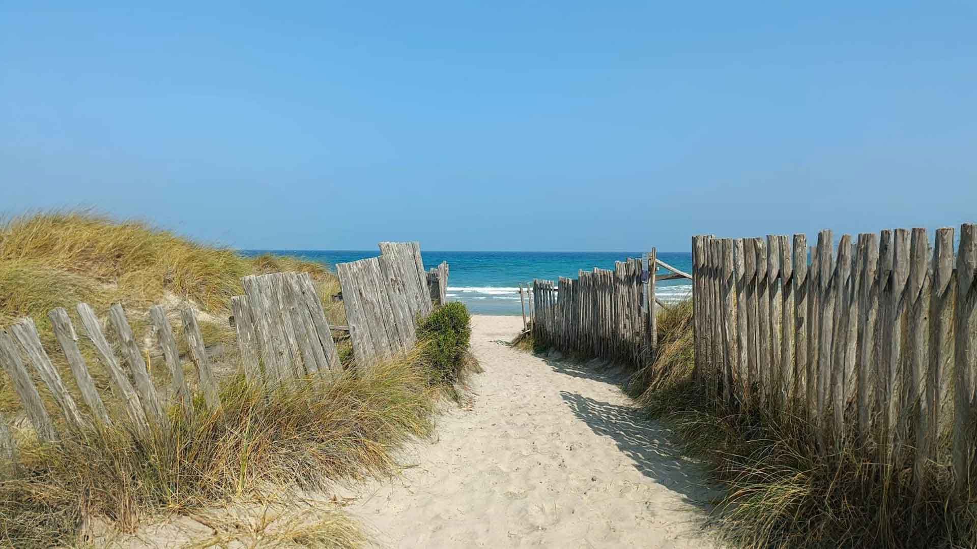 Le Terre di Fasano 5