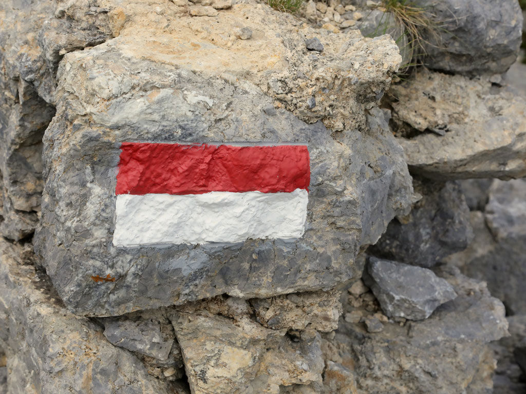 gallery/gallery_cai.jpg gallery/gallery_cai.jpg