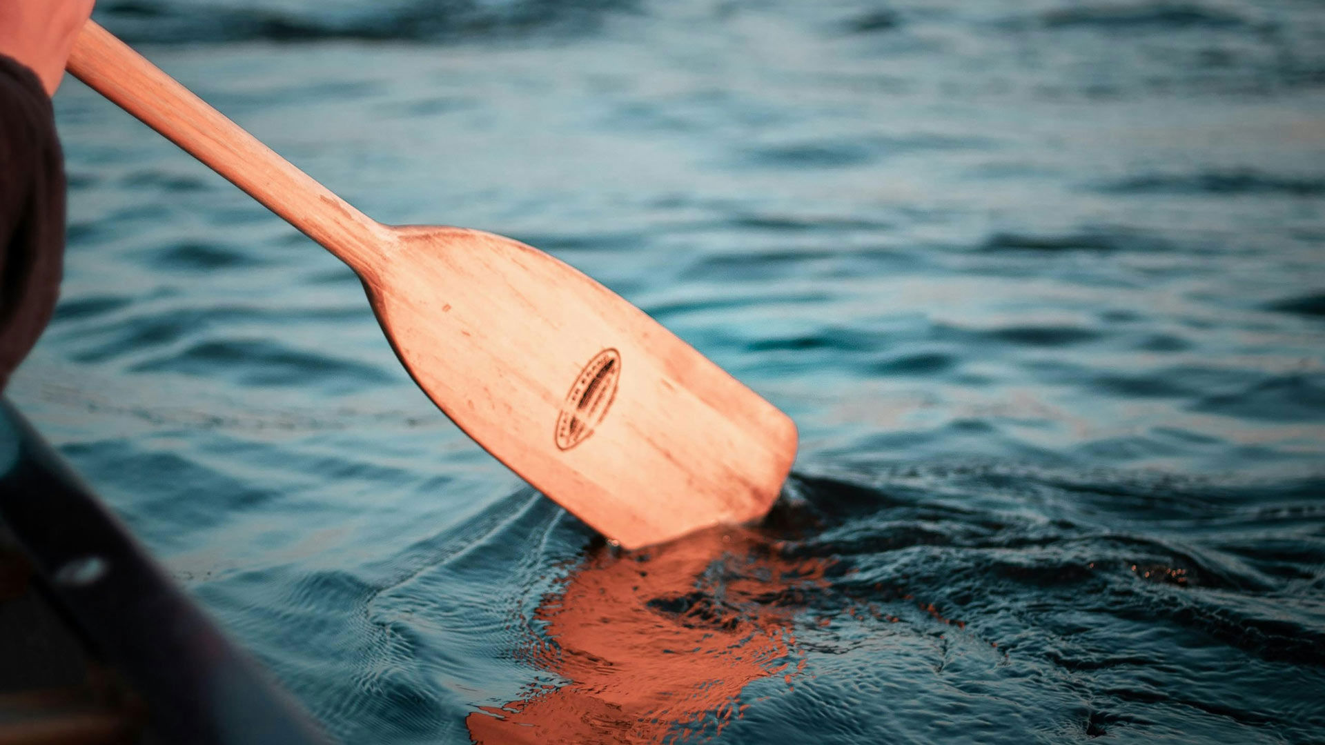 gallery/top_paddle.jpg gallery/top_paddle.jpg