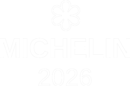 Loghi-prova/logo-michelin-2026-bianco.png