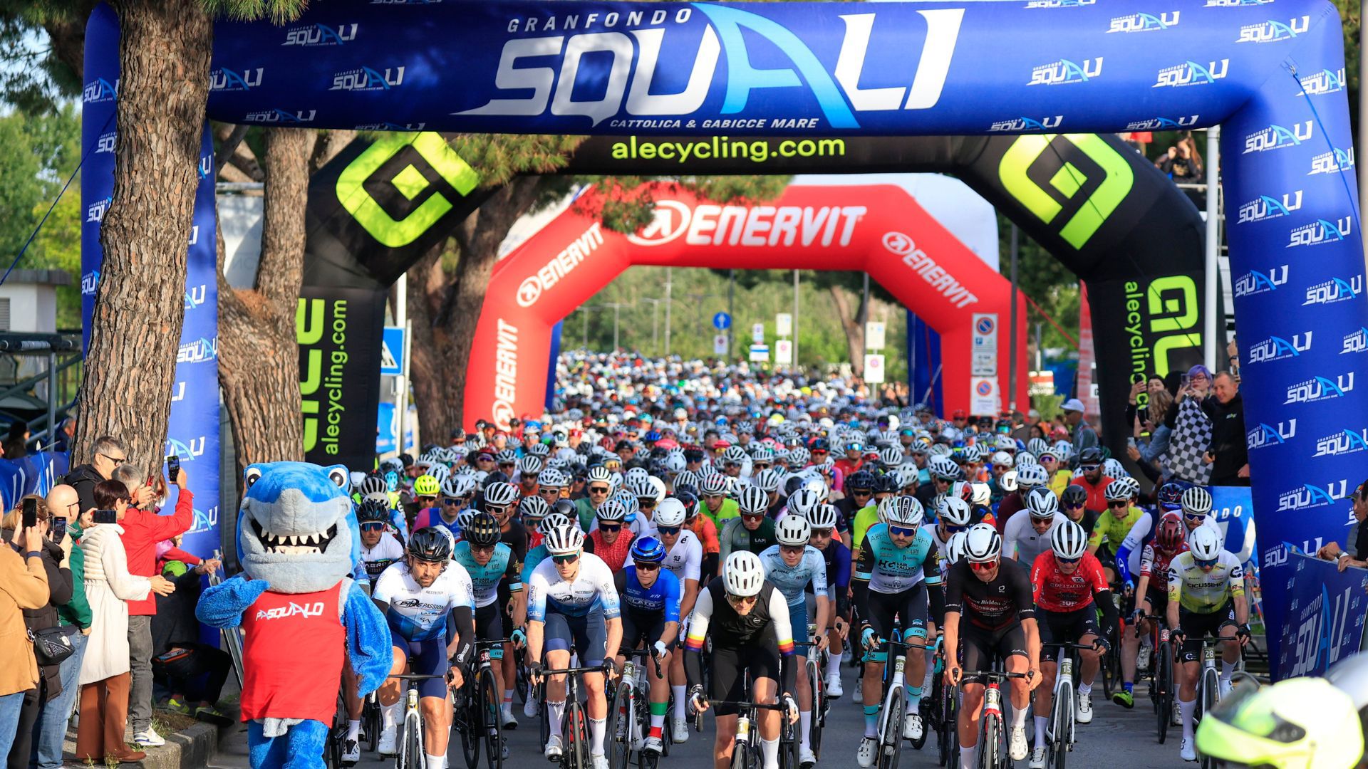 Charlie in Pesaro - Granfondo squali 2026 2