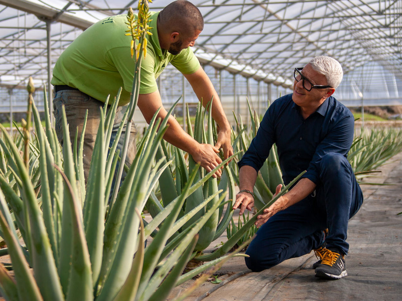 Naturalis Bio Resort Puglia Resort & Spa 6