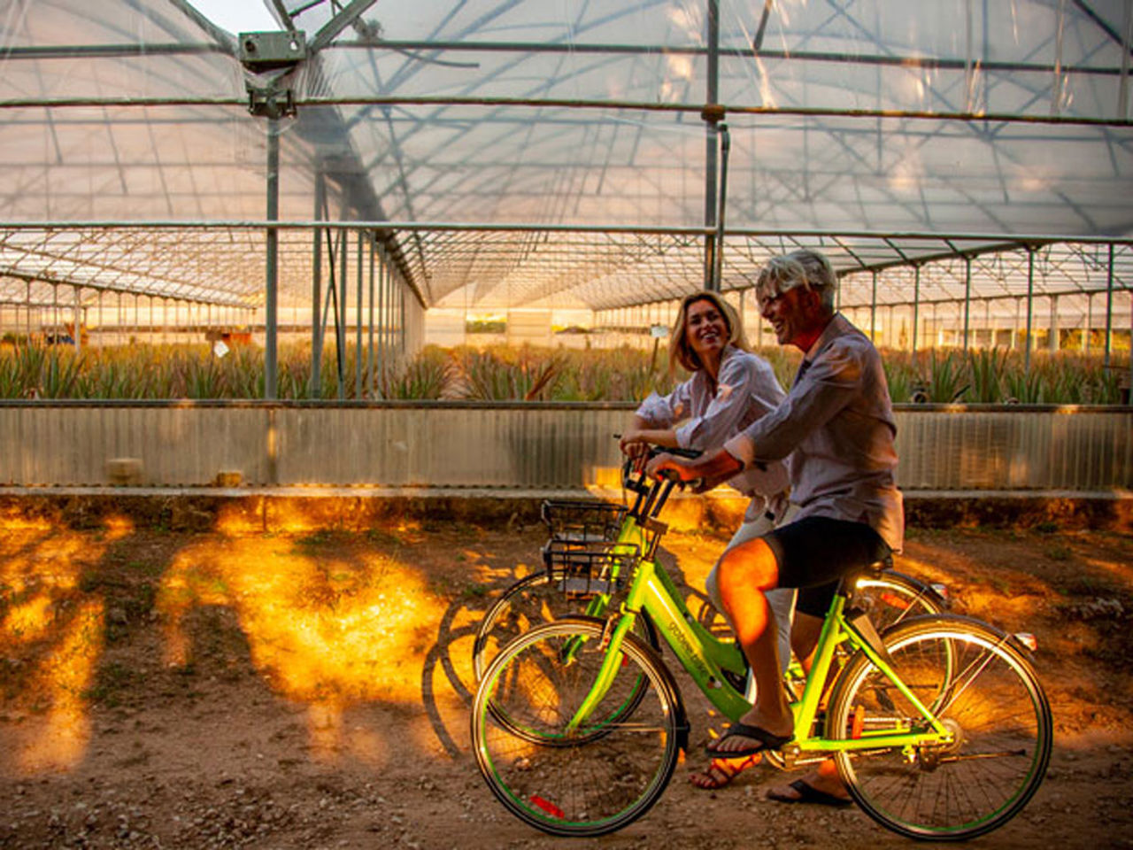 Naturalis Long Stay 5