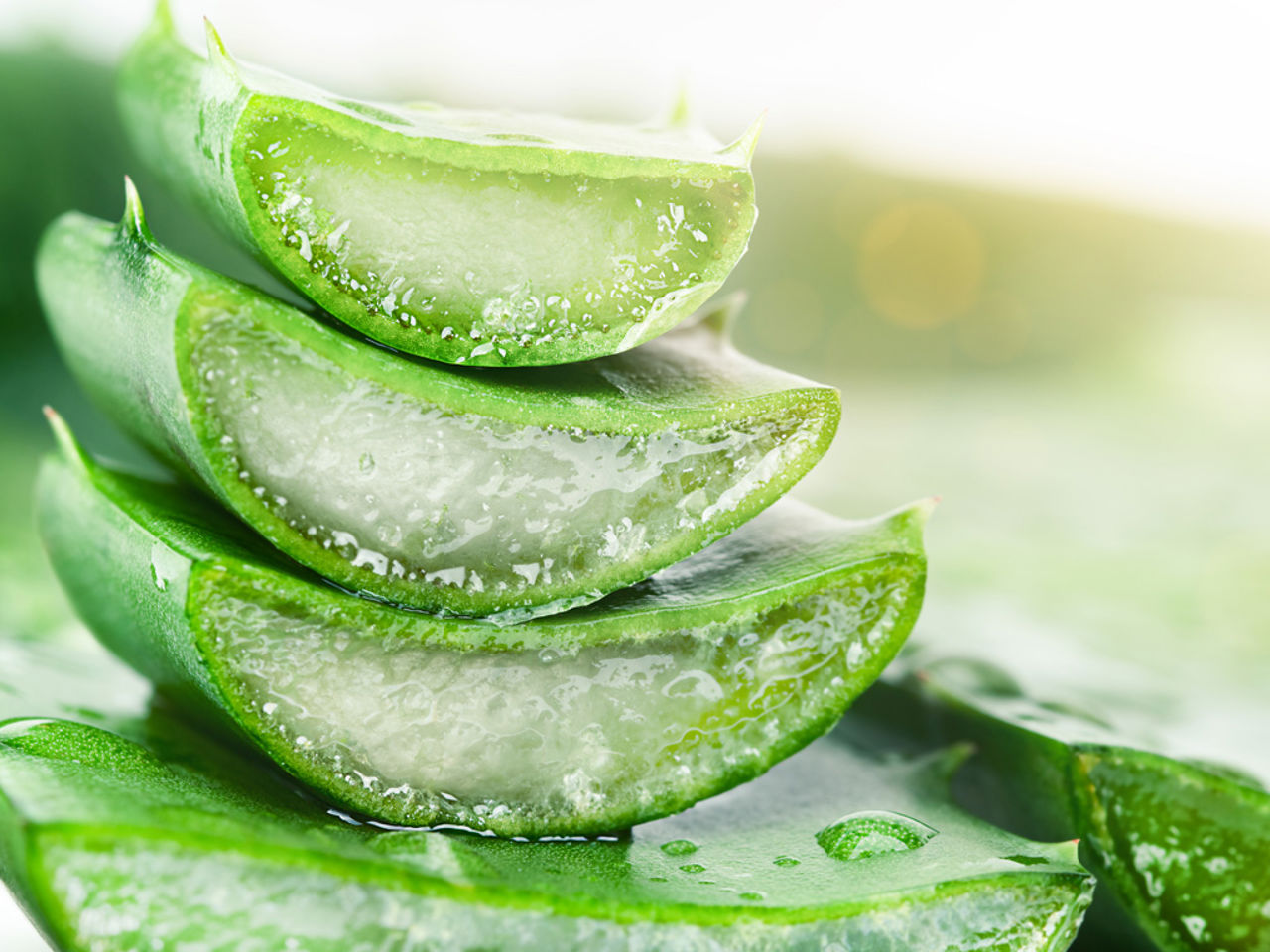 Your tailor-made holiday 8