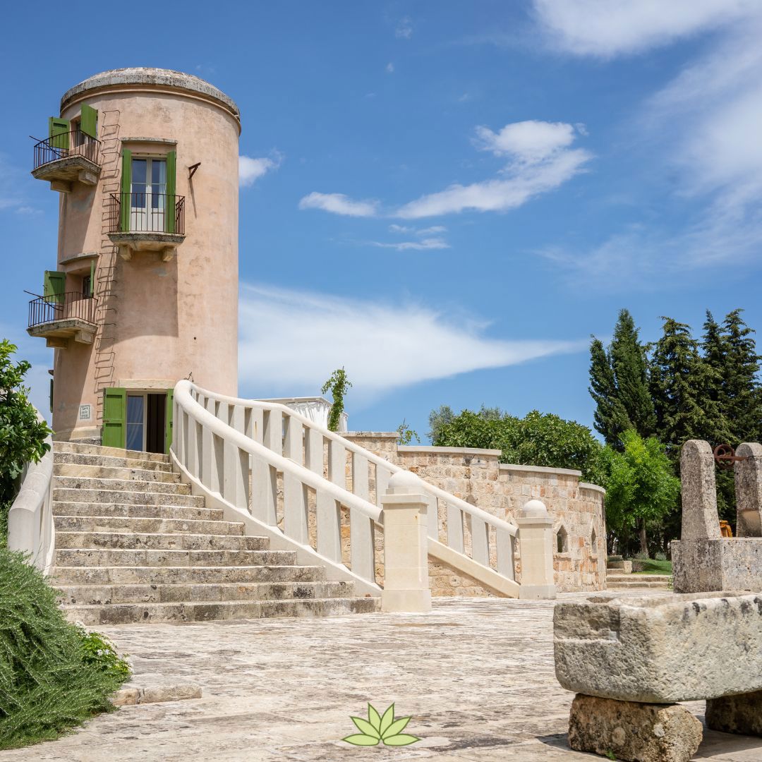 Naturalis Bio Resort & SPA: Countryside Resort near Lecce, Apulia 9