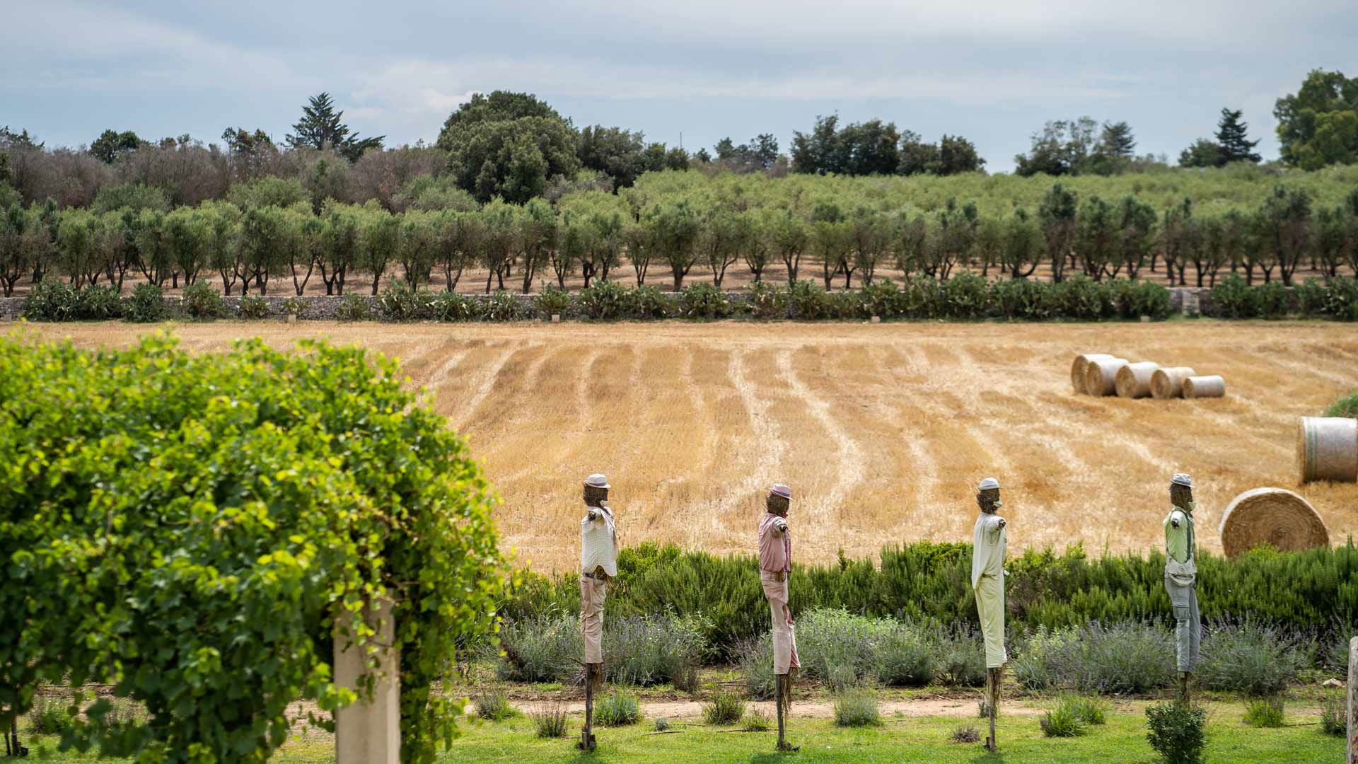 The story of Naturalis Masseria Luxury Salento 16