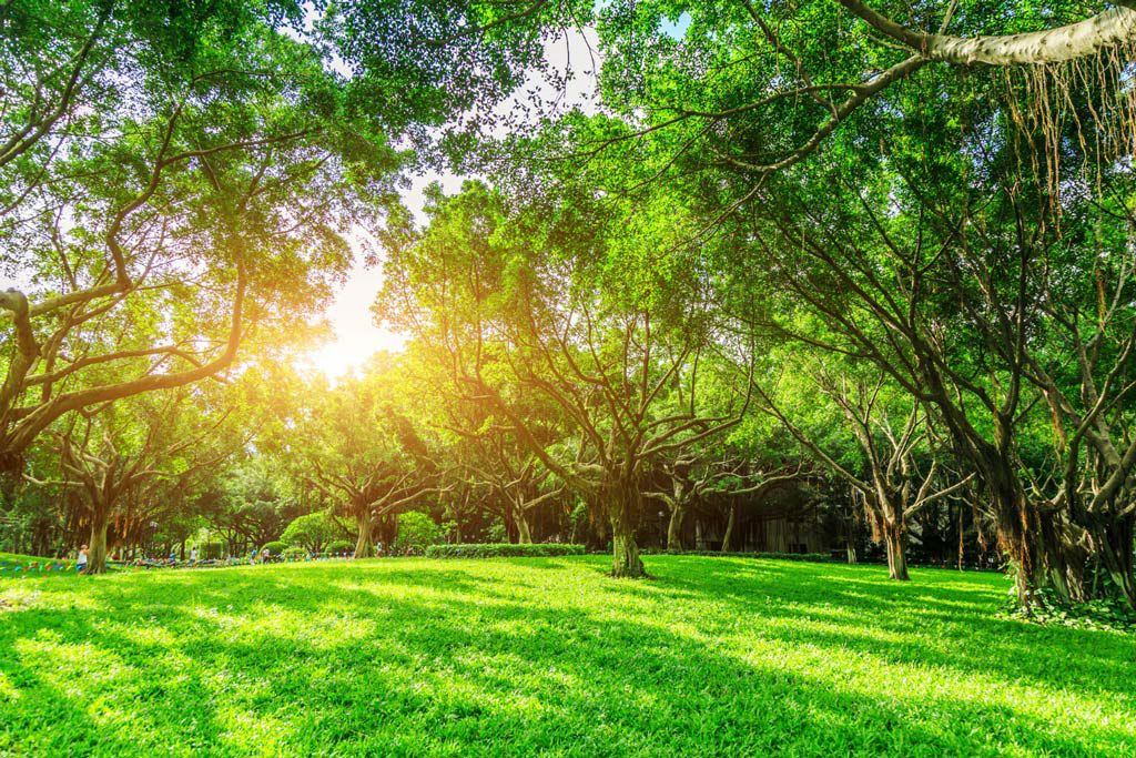 Rome: the nature that you do not expect 2 Rome: the nature that you do not expect 2