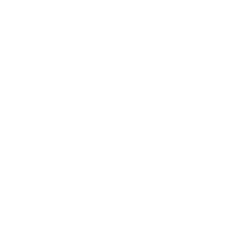 Loghi-prova/logo_villalevi.png