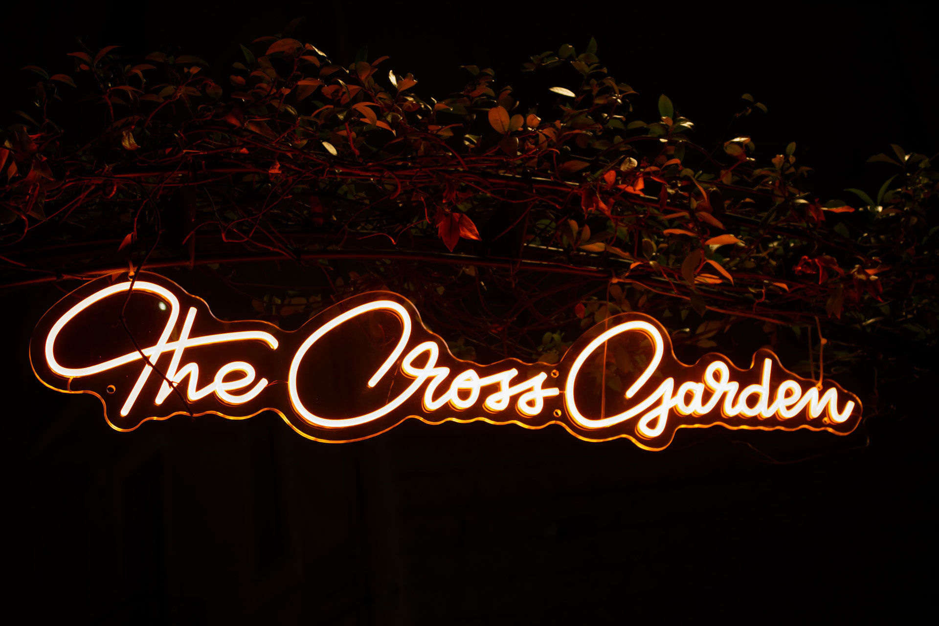 The Cross Garden Events 45