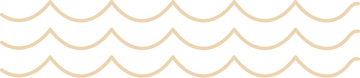 Meetings 0 Meetings 0