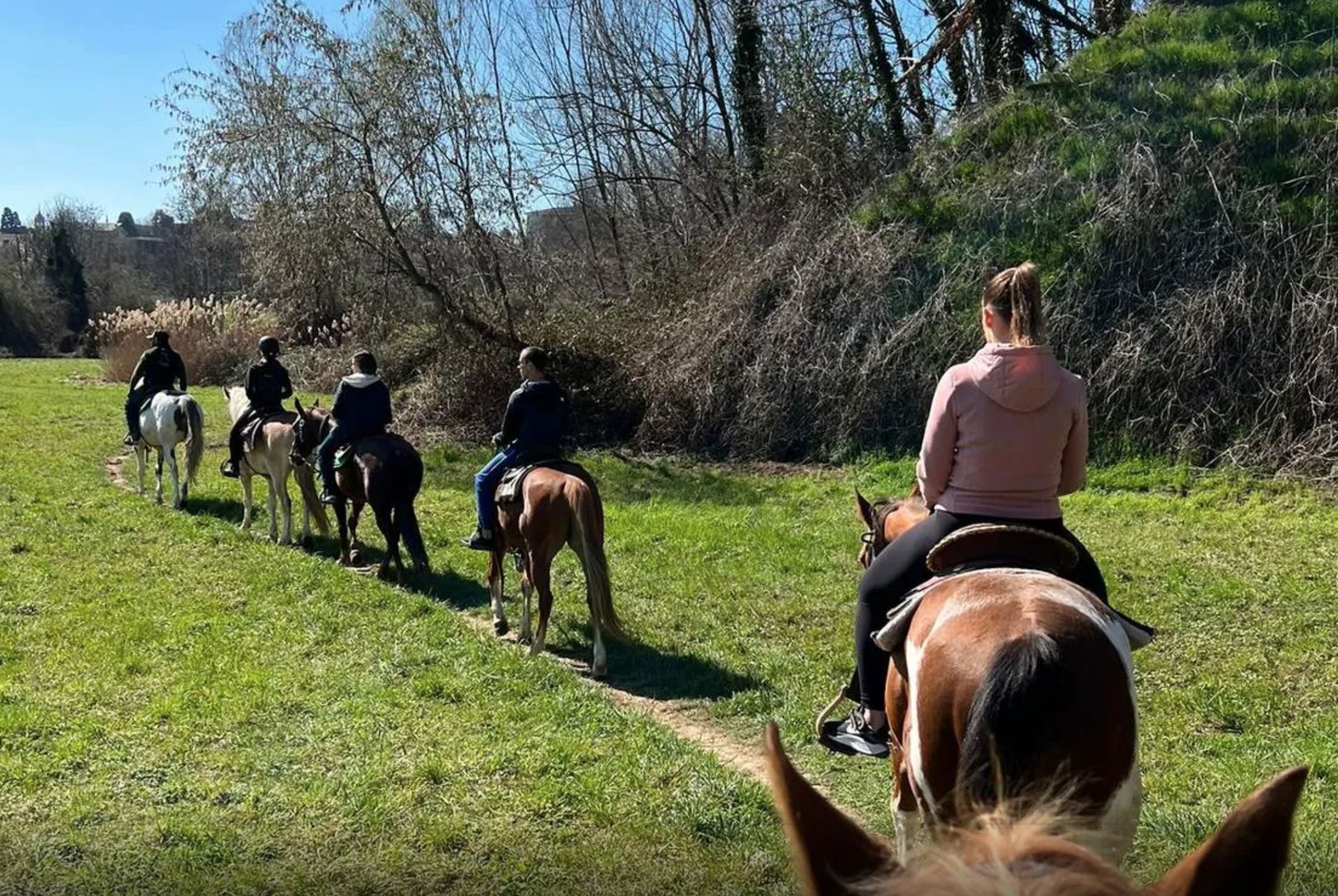 Horseback riding 2