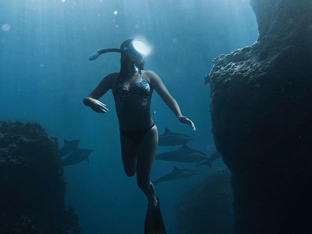 gallery/1024-Diving.jpg gallery/1024-Diving.jpg