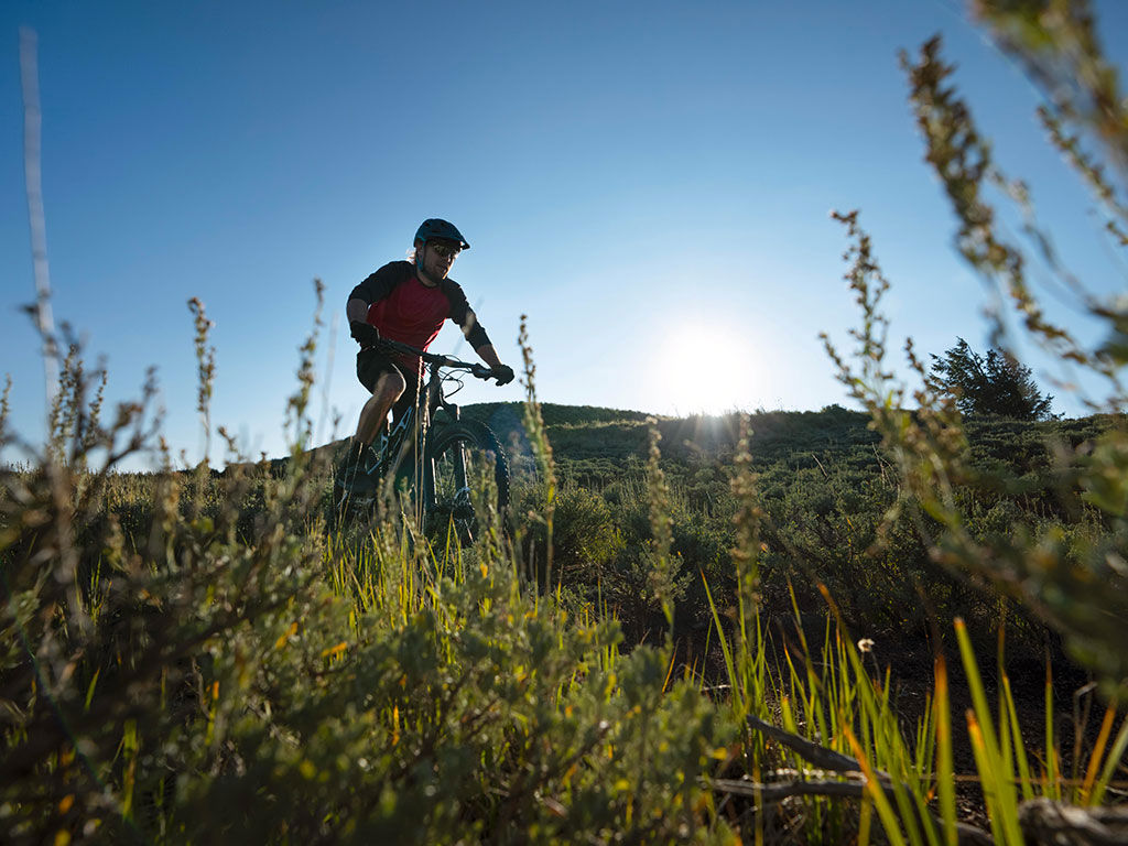 gallery/1024-MountainBike.jpg gallery/1024-MountainBike.jpg