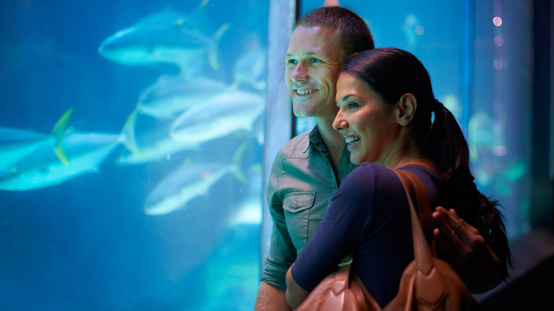 Acquario di Genova 1