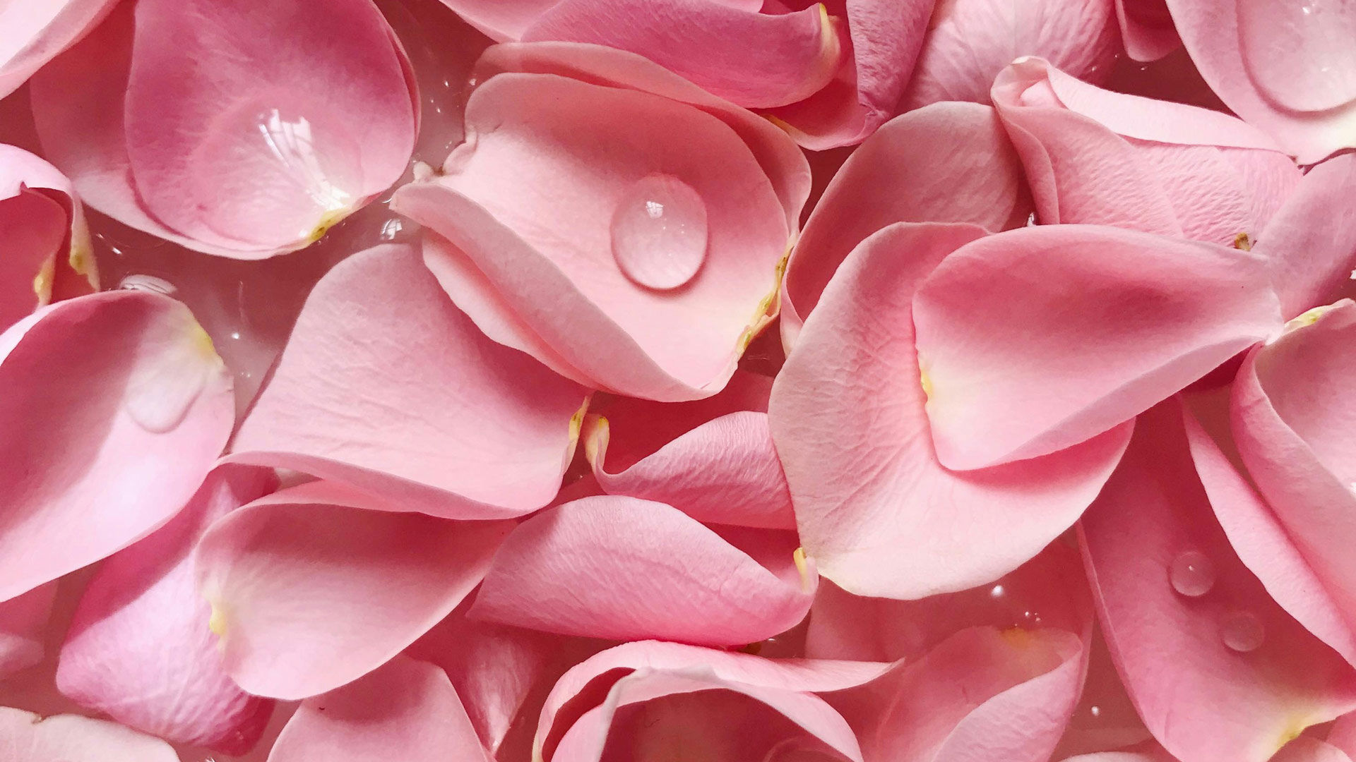 Servizi Personalizzati 3