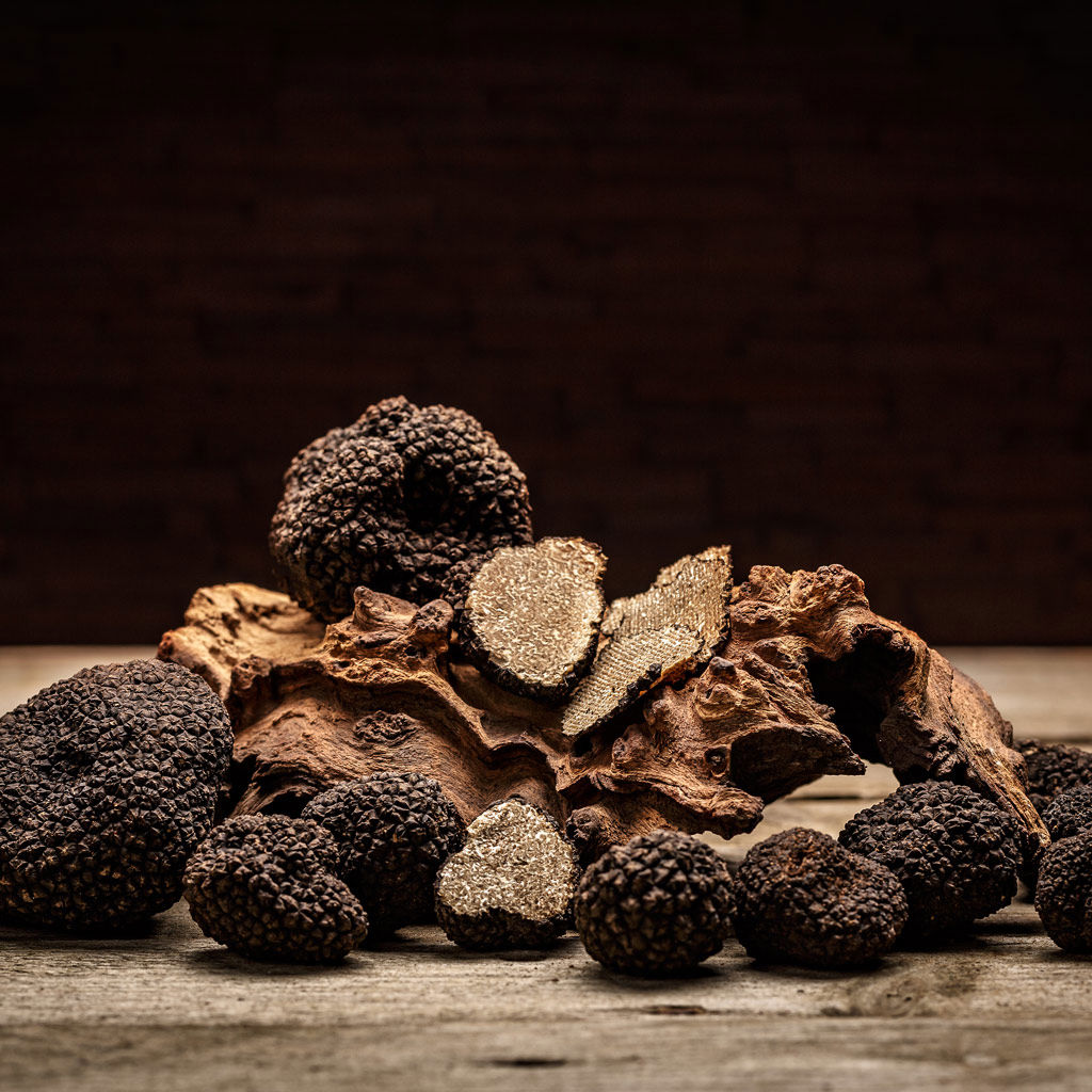 1024-truffle.jpg