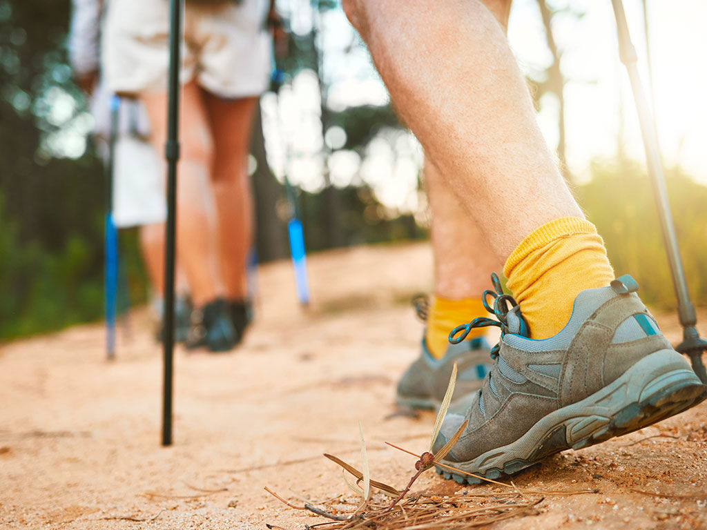 Experiences in nature 1