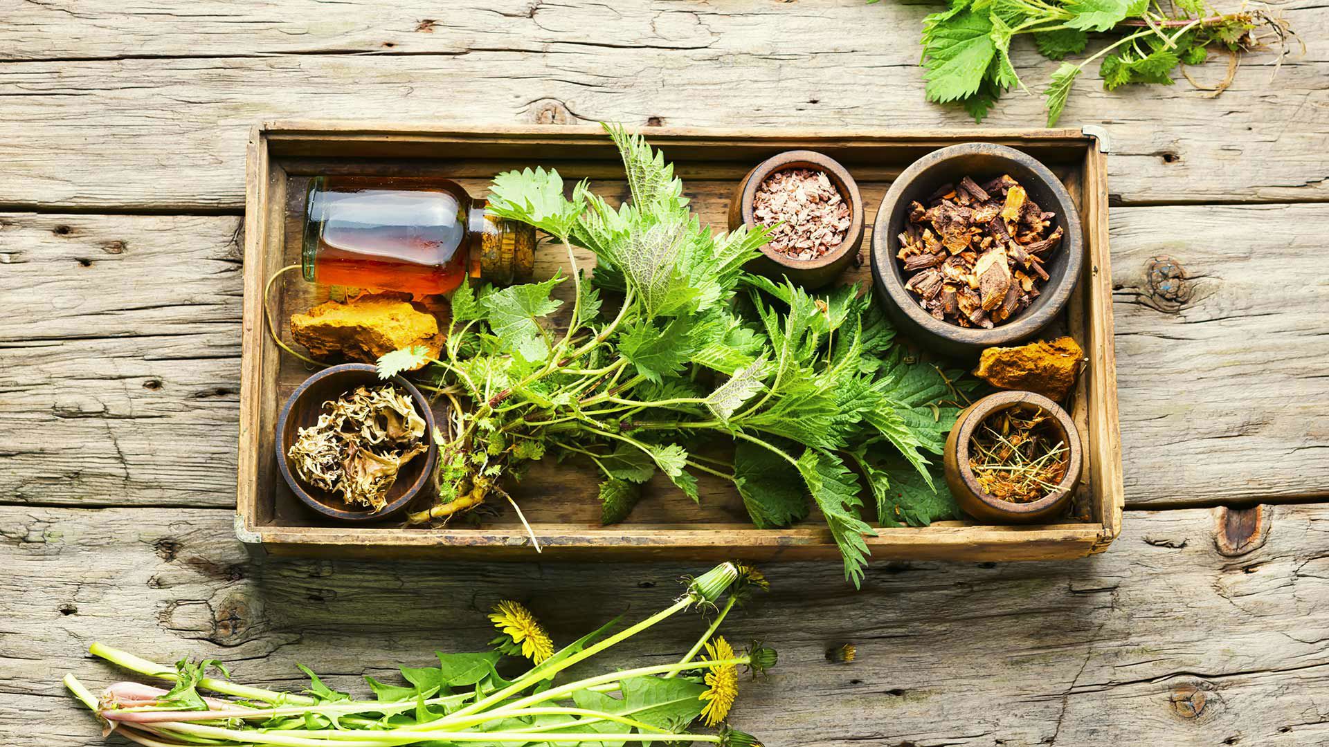 Esperienze olistiche 1 Esperienze olistiche 1