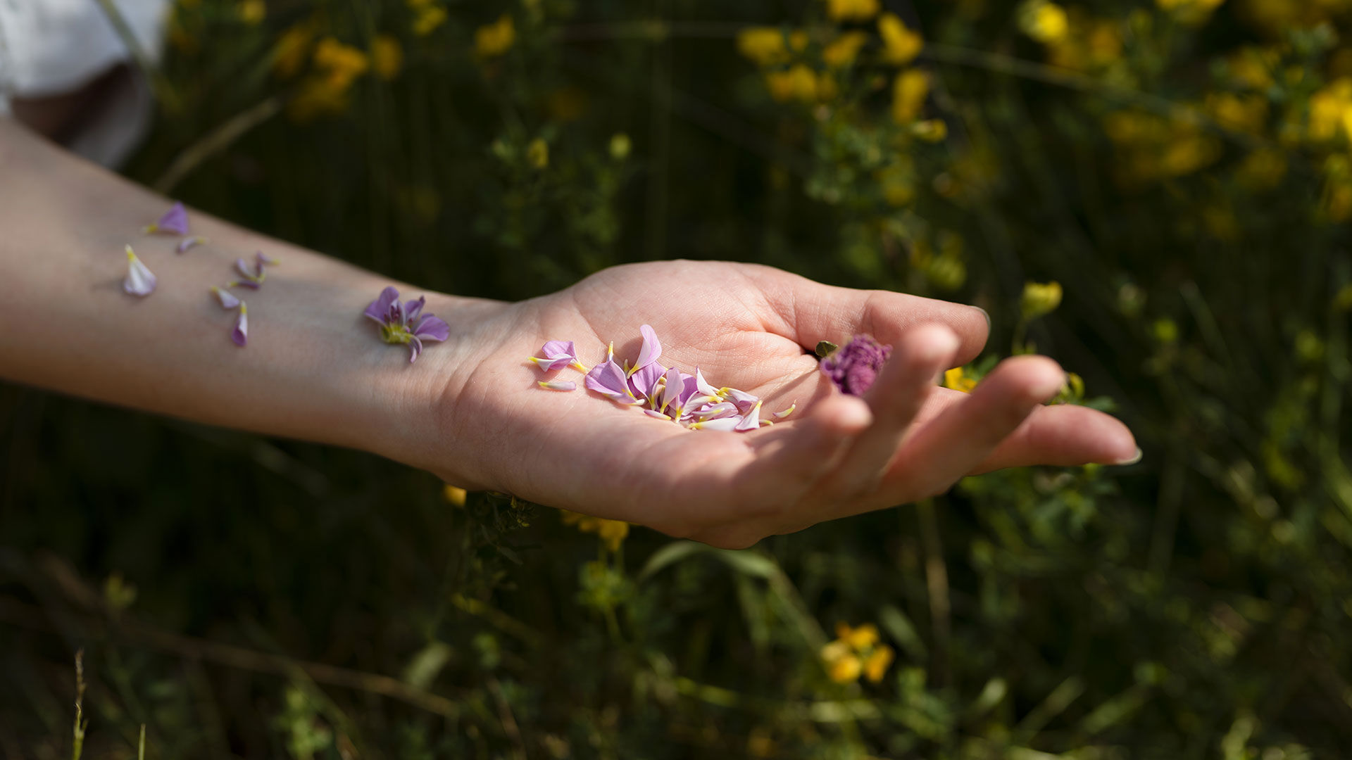 Esperienze olistiche 1 Esperienze olistiche 1