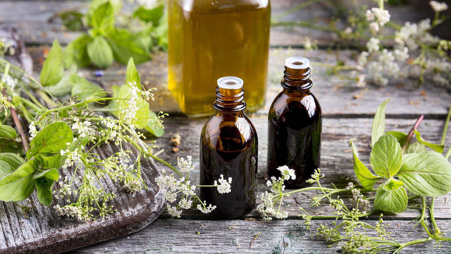 Esperienze olistiche 1 Esperienze olistiche 1