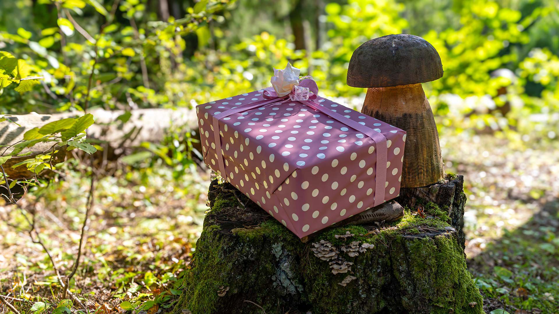 Romantic experiences 1