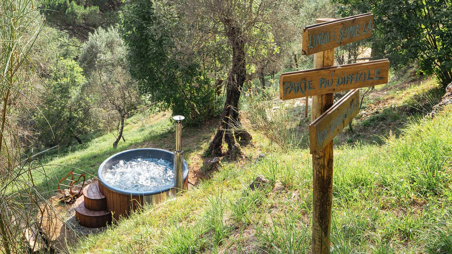 Wellness path in nature 3