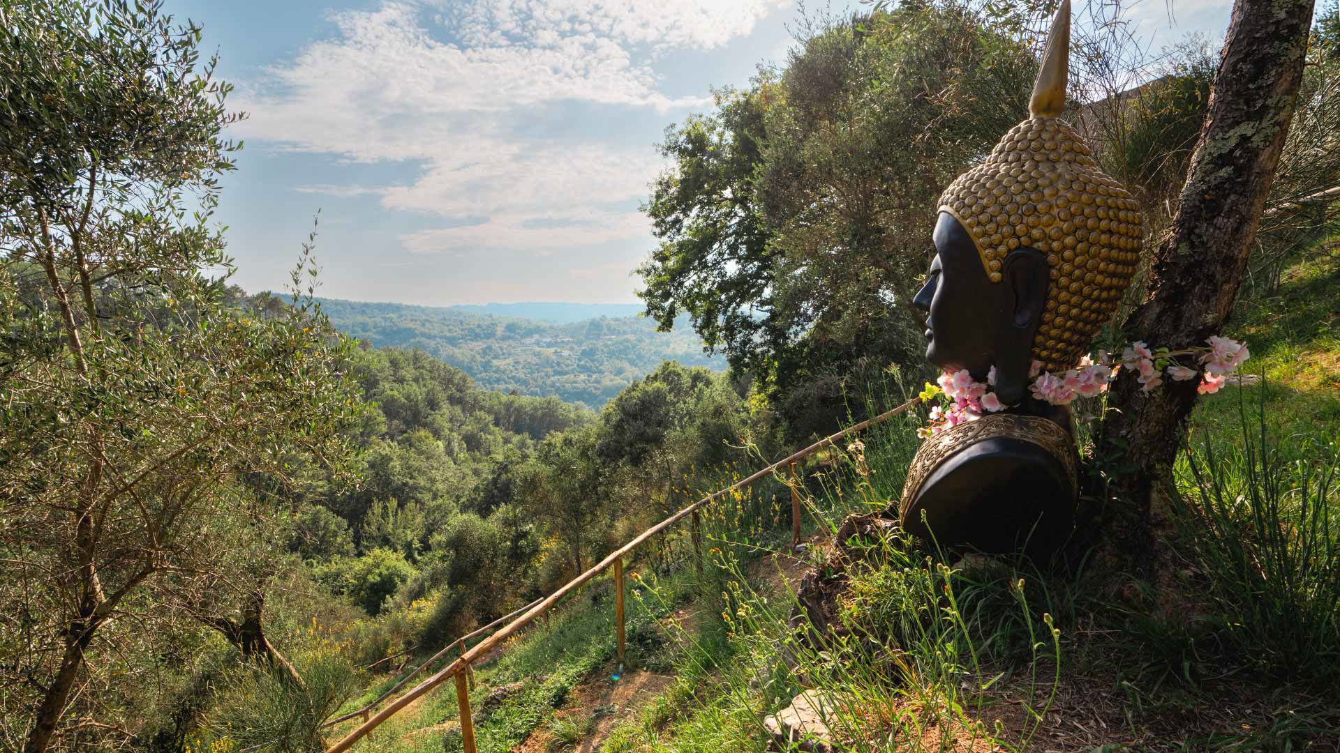 Vivi la magia di Elisir d'Amore 1